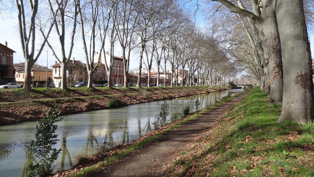 Le Brienne Toulouse Centre Apartment Bagian luar foto